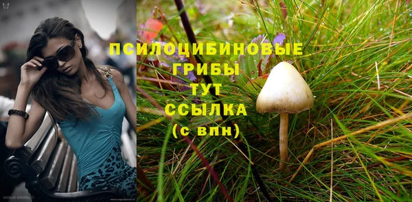 не бодяженный Волоколамск